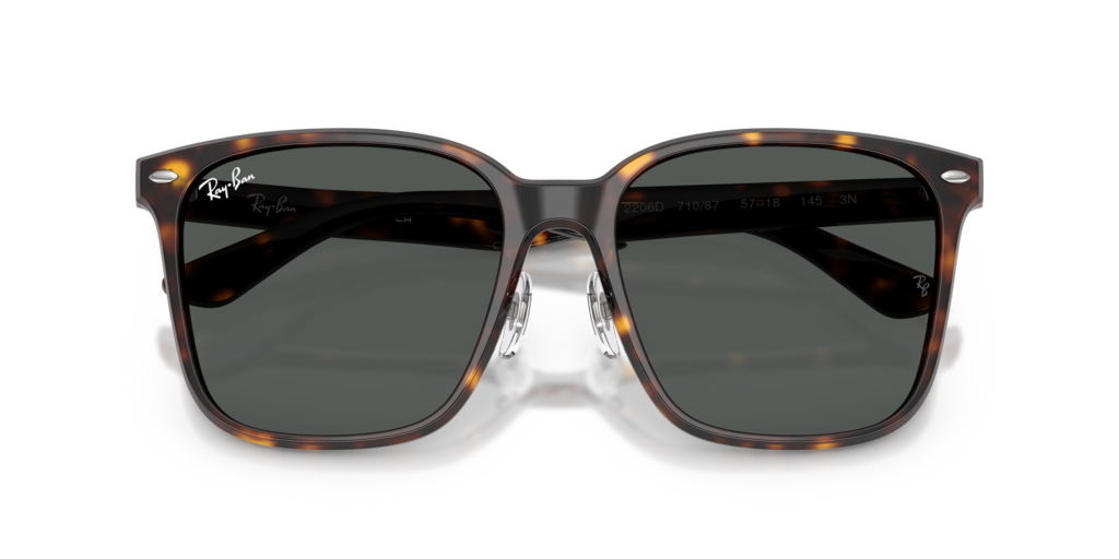 Ray-Ban RB2206D 710/87