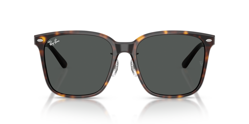 Ray-Ban RB2206D 710/87