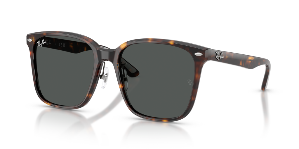 Ray-Ban RB2206D