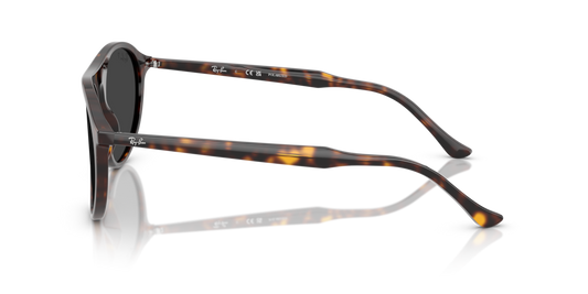 Ray-Ban RB2215 902/48