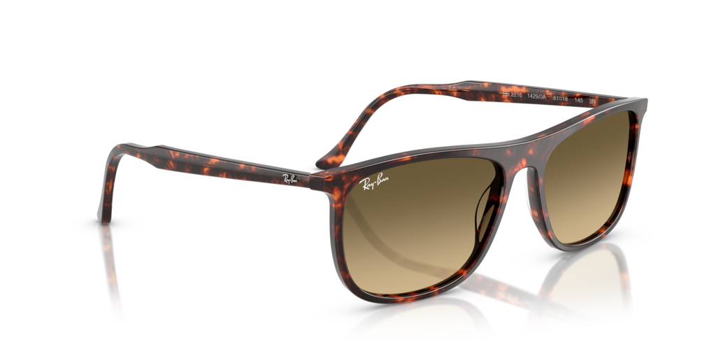 Ray-Ban RB2216 14290A