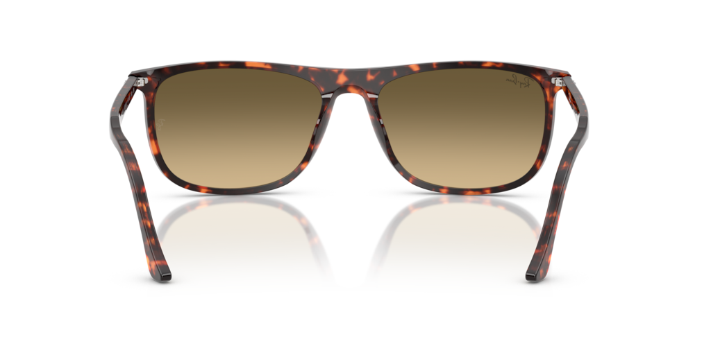 Ray-Ban RB2216 14290A