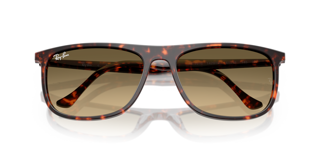 Ray-Ban RB2216 14290A