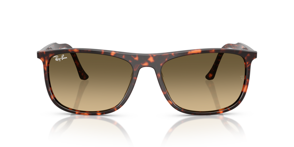 Ray-Ban RB2216 14290A