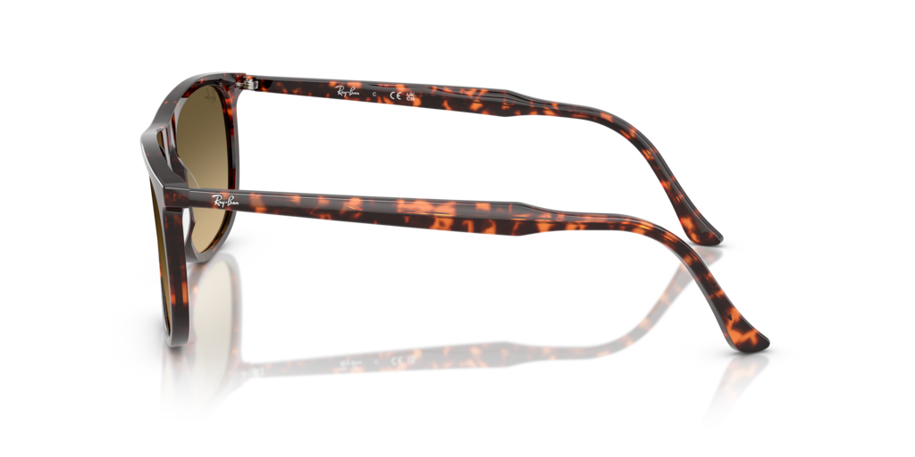 Ray-Ban RB2216 14290A