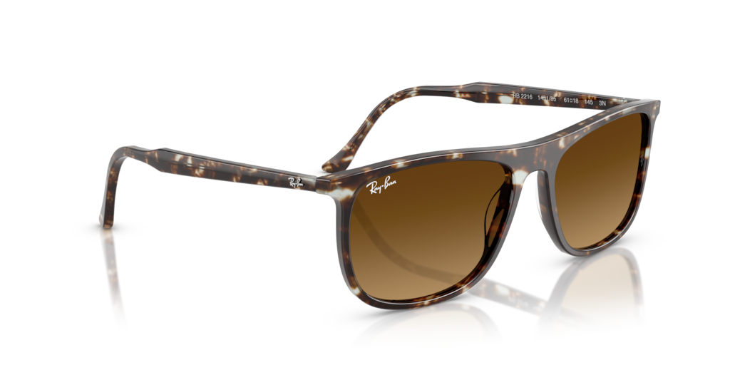 Ray-Ban RB2216 143185