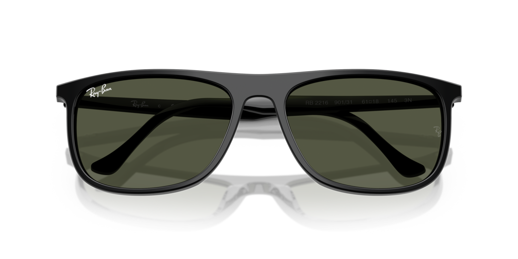 Ray-Ban RB2216 901/31