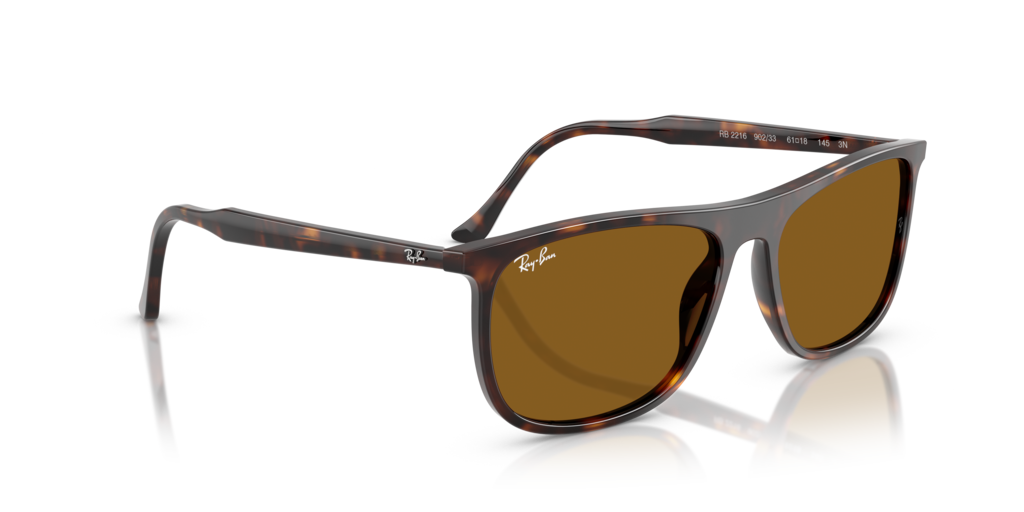 Ray-Ban RB2216 902/33