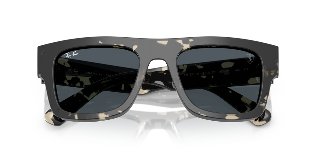 Ray-Ban RB2217M F70387