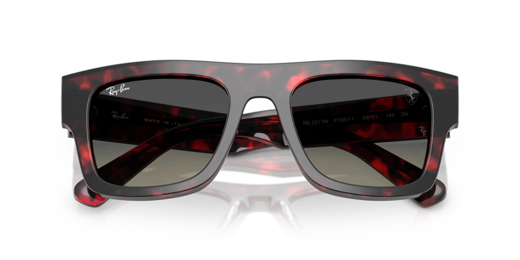 Ray-Ban RB2217M F70511