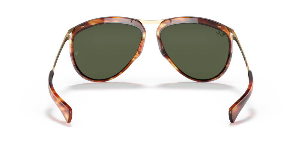 Ray-Ban RB2219 954/31