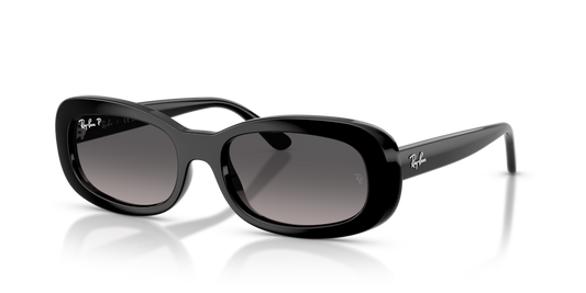 Ray-Ban RB2221