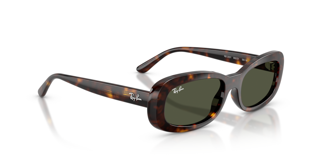 Ray-Ban RB2221 902/31
