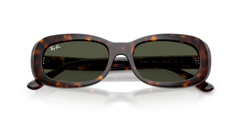 Ray-Ban RB2221 902/31