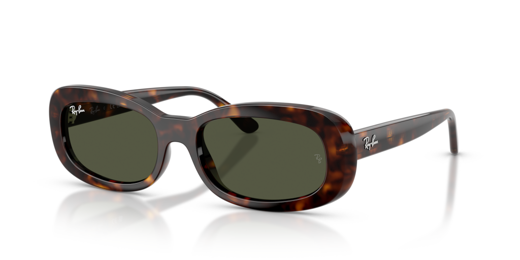 Ray-Ban RB2221