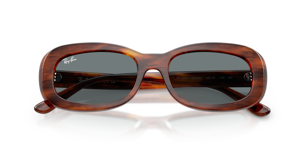 Ray-Ban RB2221 954/62