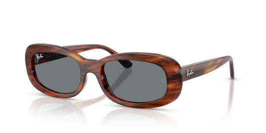 Ray-Ban RB2221