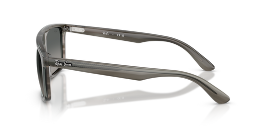 Ray-Ban RB2222 143871