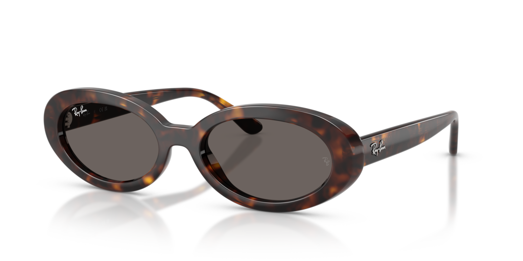 Ray-Ban RB2223