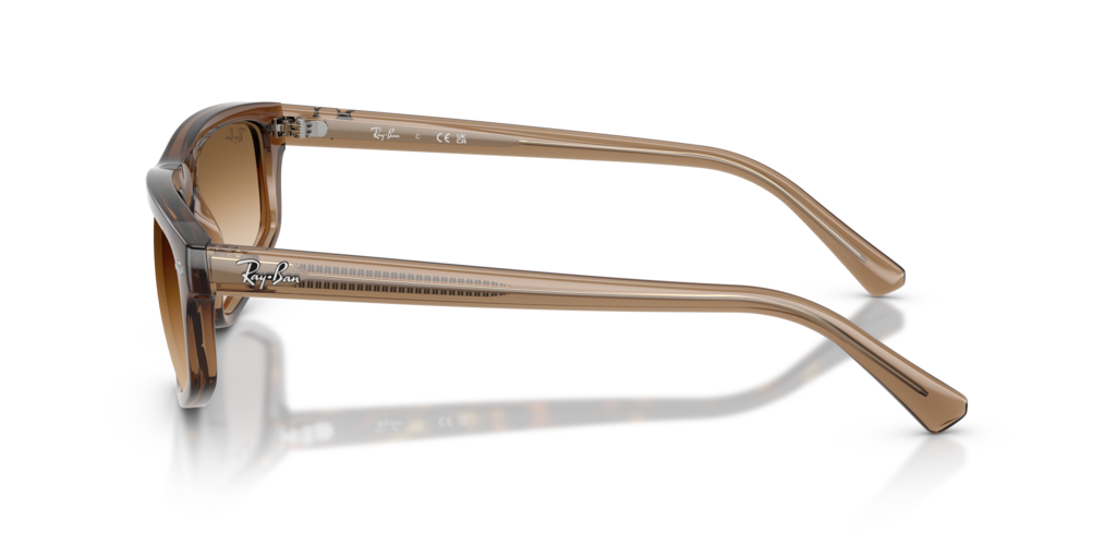 Ray-Ban RB2225 664051