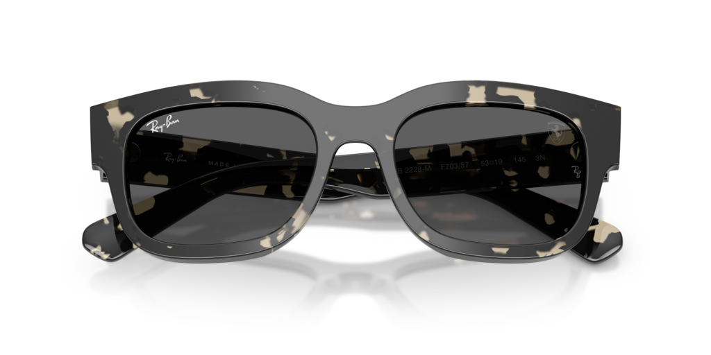 Ray-Ban RB2228M F70387