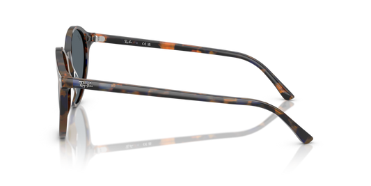 Ray-Ban RB2230 1356R5