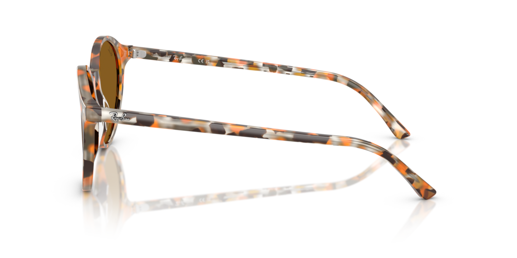 Ray-Ban RB2230 135733
