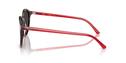 Ray-Ban RB2230 141948