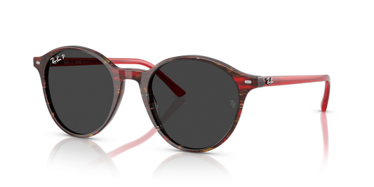 Ray-Ban RB2230