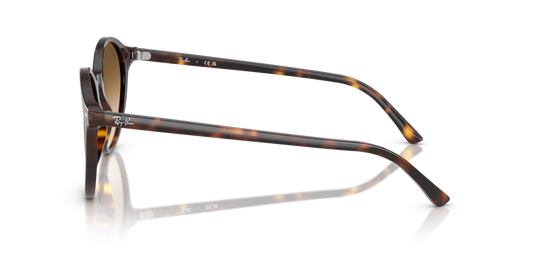 Ray-Ban RB2230 902/51