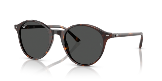 Ray-Ban RB2230
