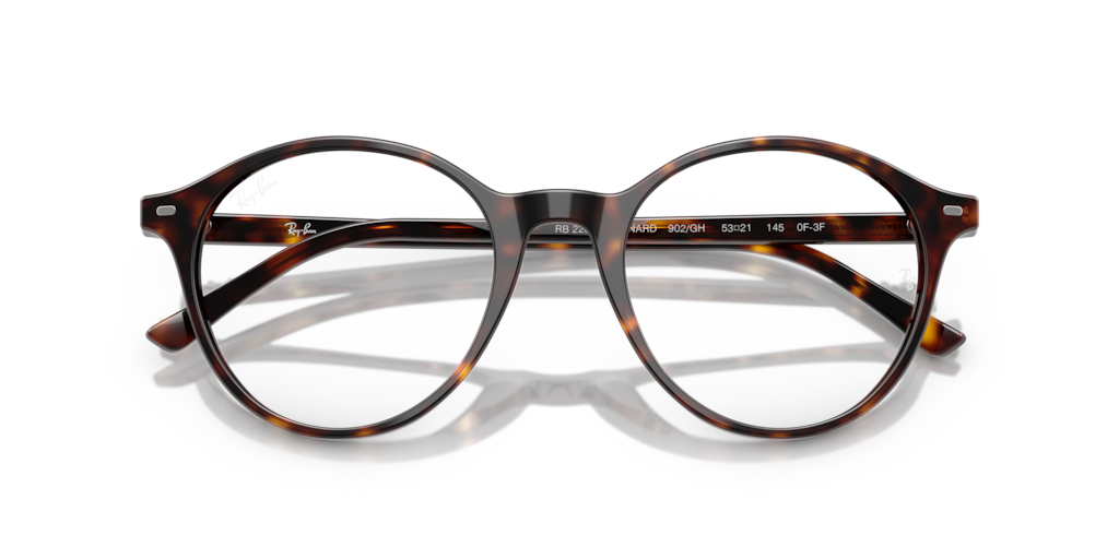 Ray-Ban RB2230 902/GH