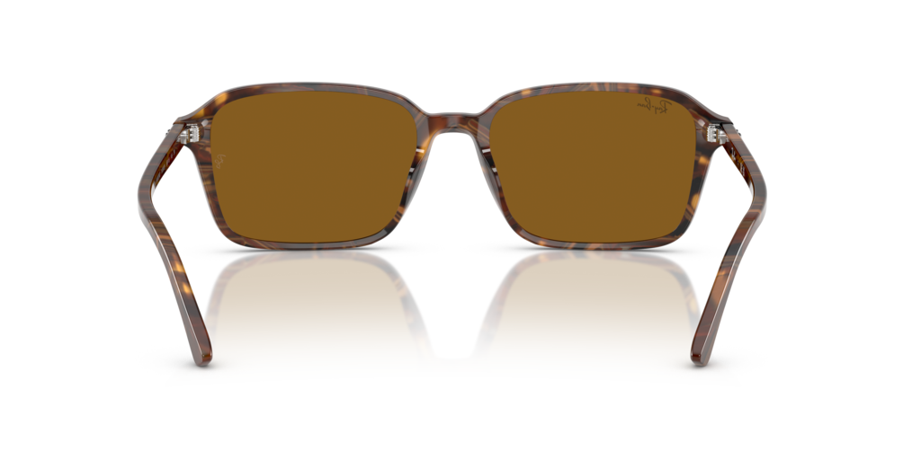 Ray-Ban RB2231 141833