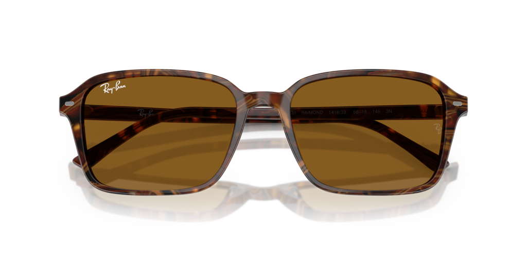 Ray-Ban RB2231 141833
