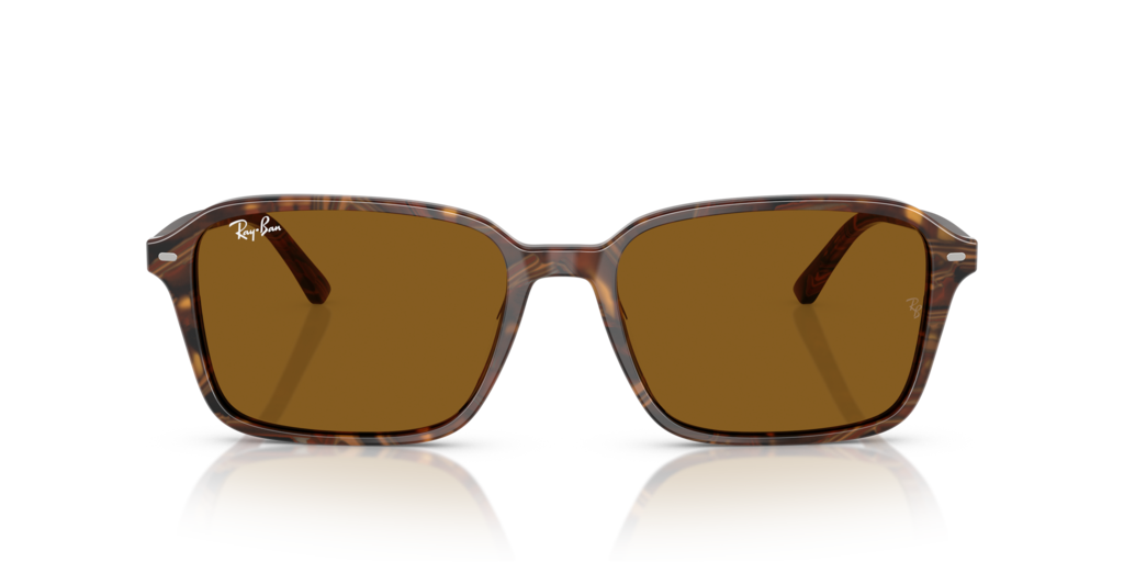 Ray-Ban RB2231 141833