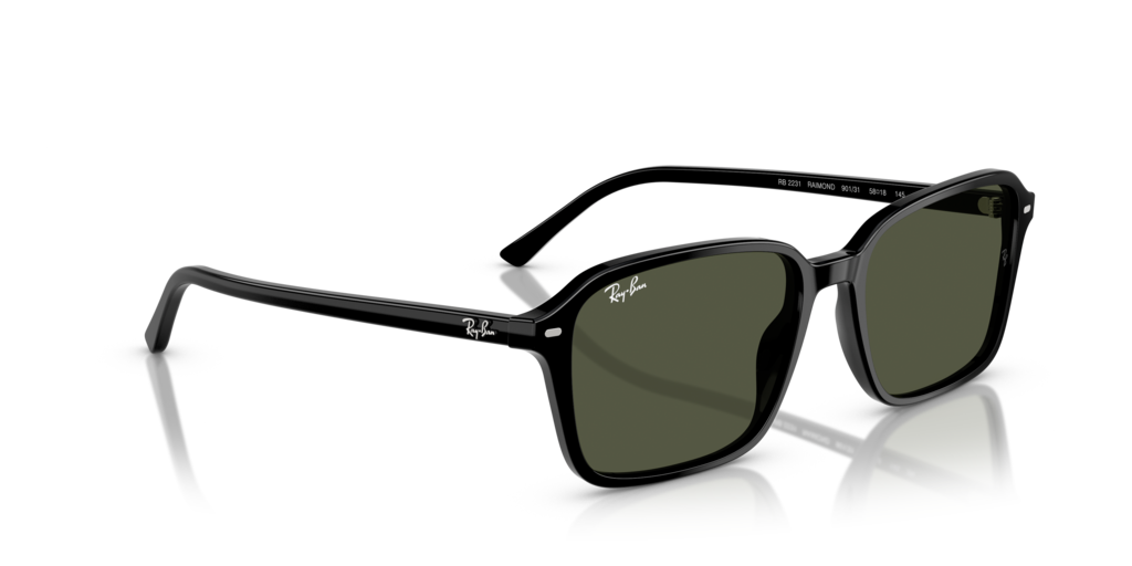 Ray-Ban RB2231 901/31