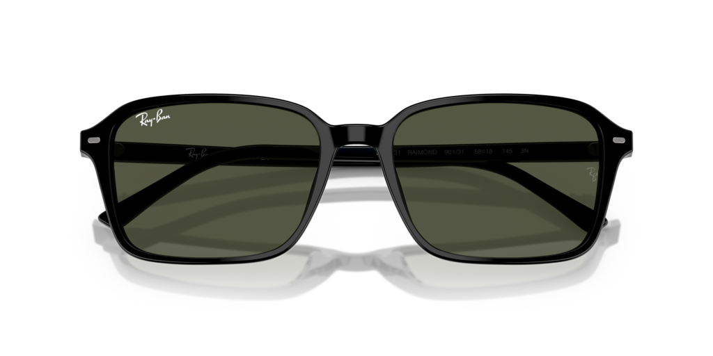 Ray-Ban RB2231 901/31