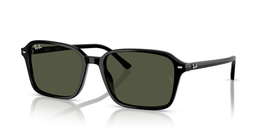 Ray-Ban RB2231 901/31 - 56 - Güneş Gözlükleri