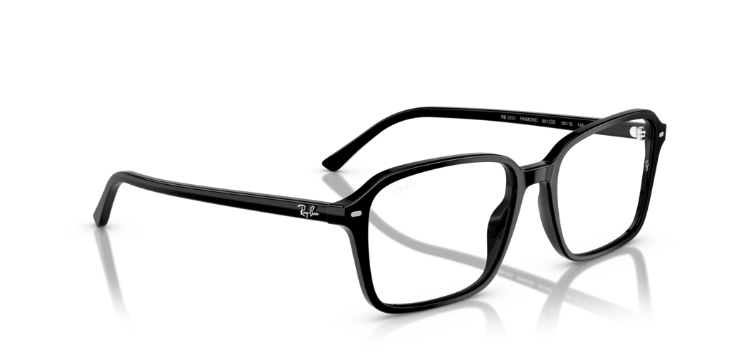Ray-Ban RB2231 901/GG