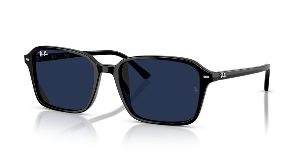 Ray-Ban RB2231 901/GG