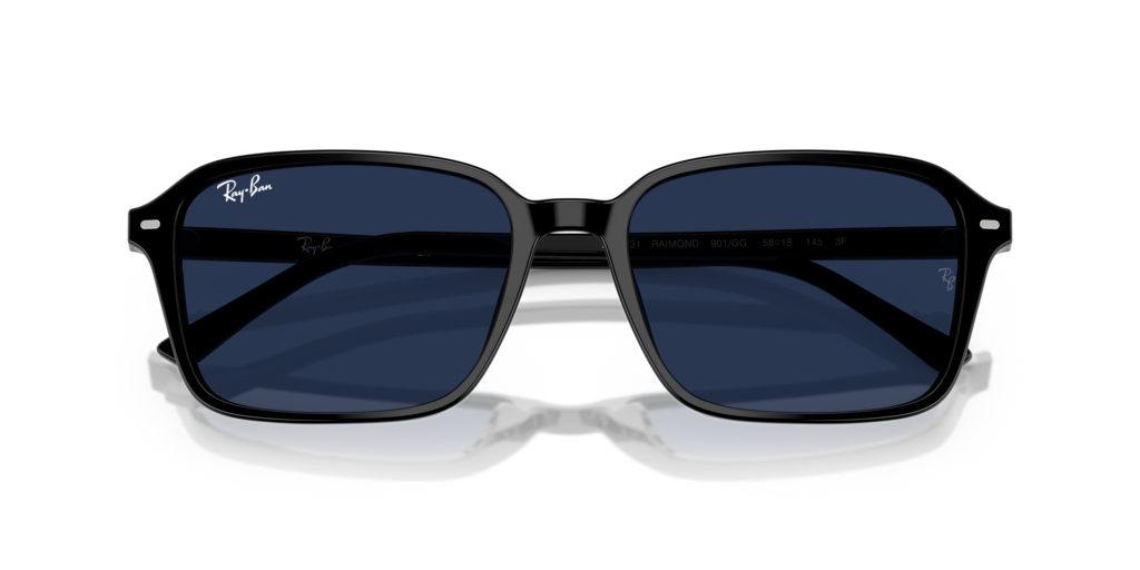 Ray-Ban RB2231 901/GG