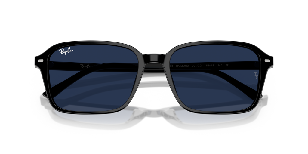 Ray-Ban RB2231 901/GG