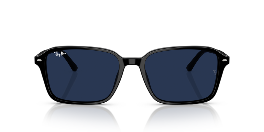 Ray-Ban RB2231 901/GG