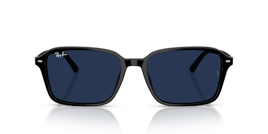 Ray-Ban RB2231 901/GG