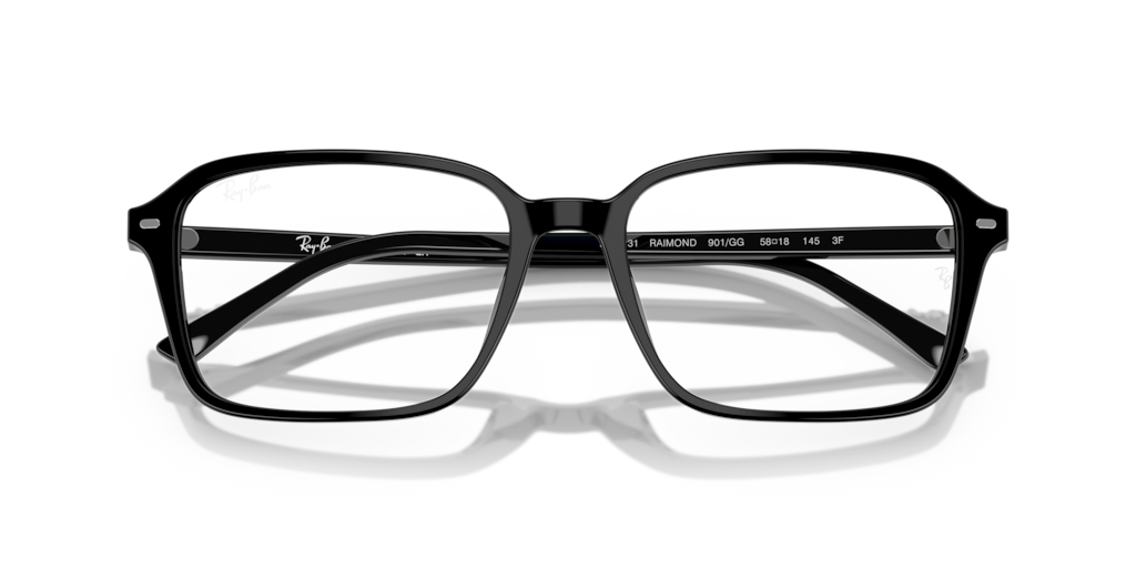 Ray-Ban RB2231 901/GG