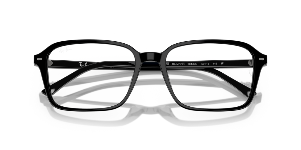 Ray-Ban RB2231 901/GG