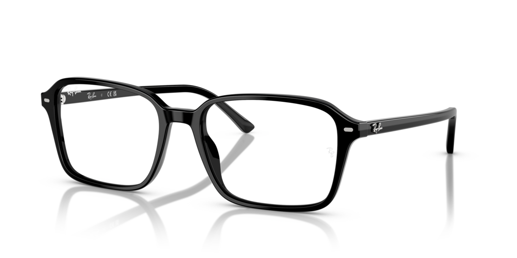 Ray-Ban RB2231 901/GG