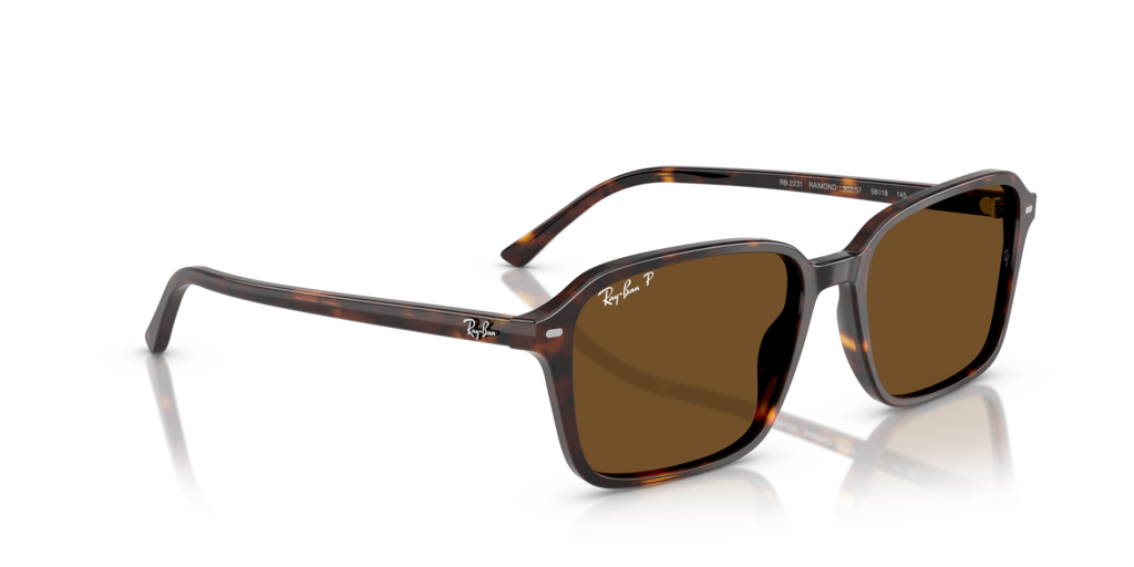 Ray-Ban RB2231 902/57
