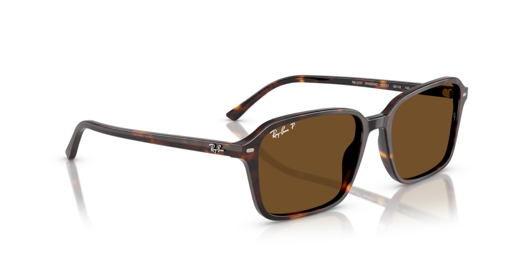 Ray-Ban RB2231 902/57