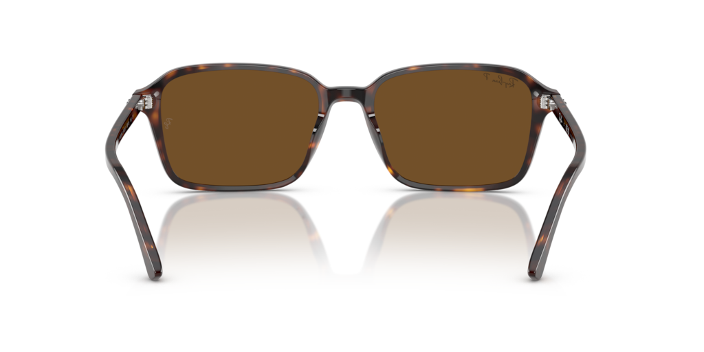 Ray-Ban RB2231 902/57